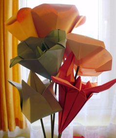 Origami vilgnap